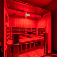 Infra Red Sauna